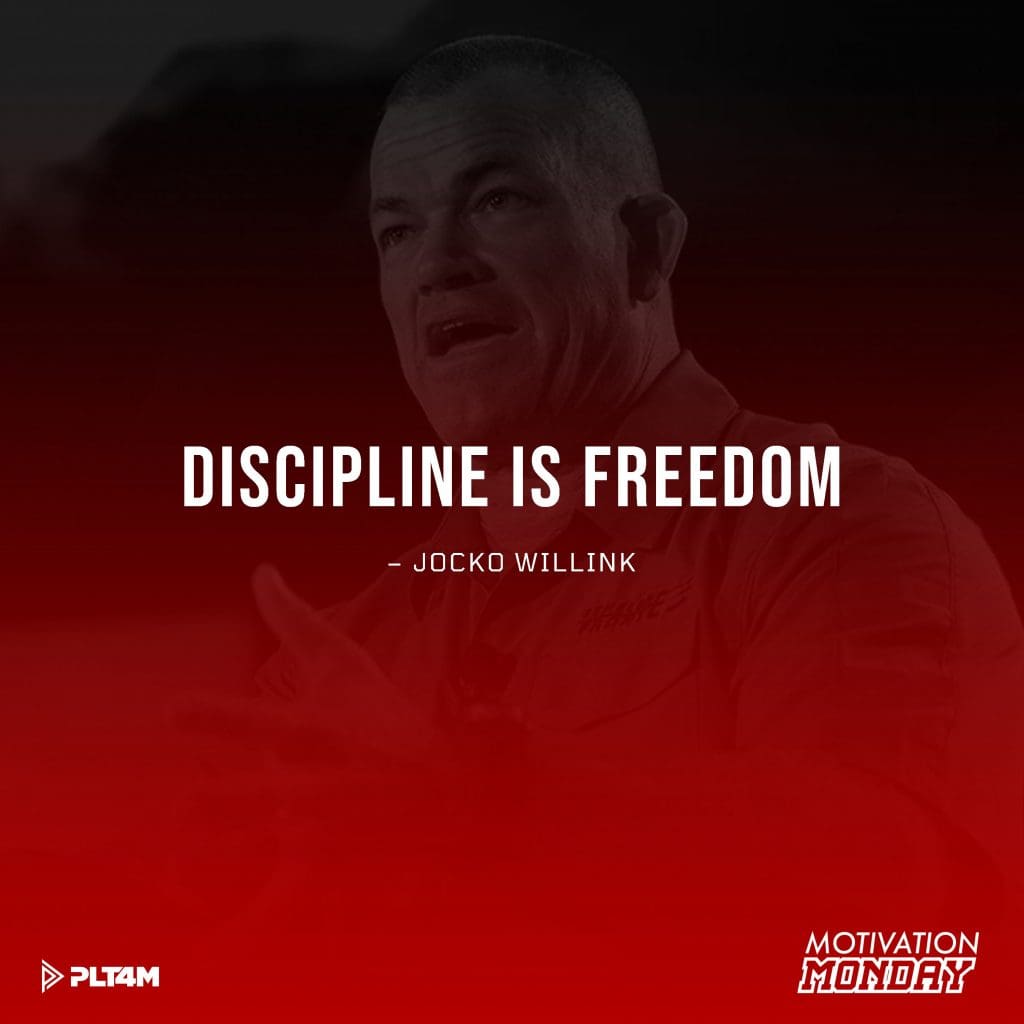 Discipline is freedom quote board.
