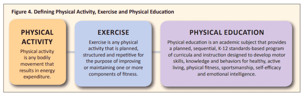 Screenshot of different terms explained like physical activity, exercise, and physical education.