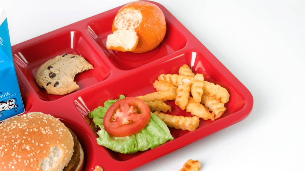 A school lunch tray with oranges, cookies, hamburger, and salad.
